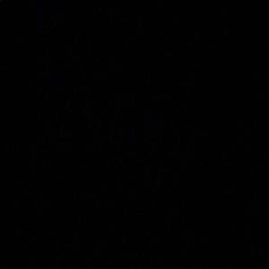 Meet your Posher, Luke